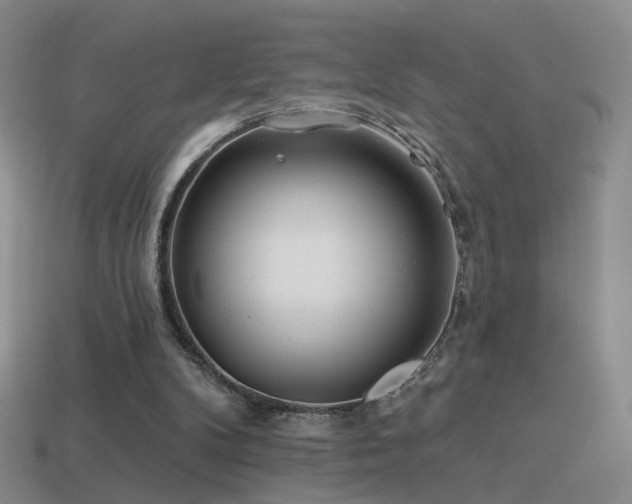 X0000114510104200910191142