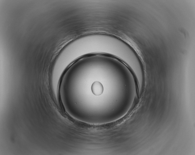 X0000114510105200910191142