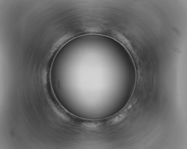 X0000114510106200910191142