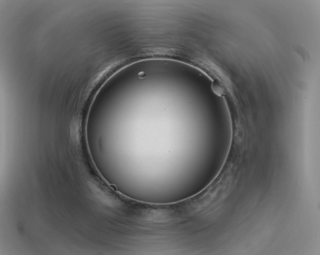 X0000114510107200910191142