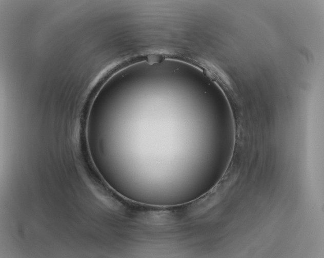 X0000114510108200910191142