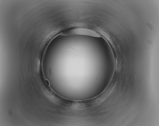 X0000114510109200910191141