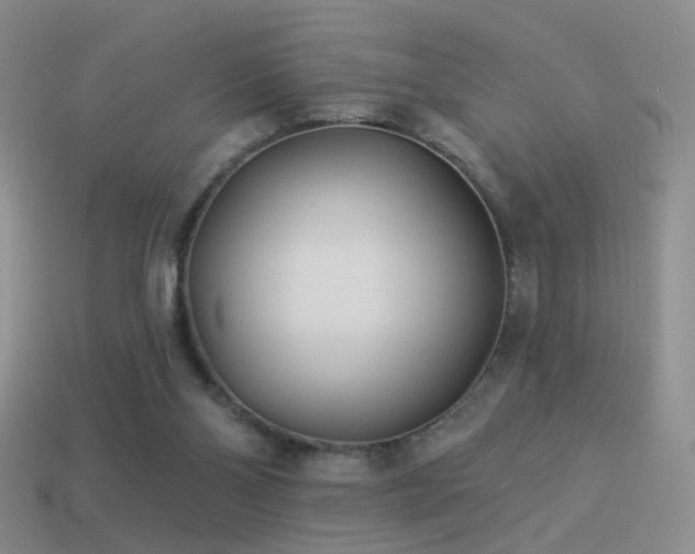 X0000114510110200910191141