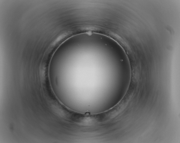 X0000114510111200910191141