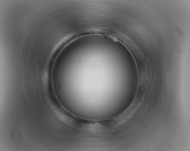 X0000114510112200910191141