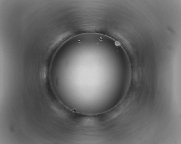 X0000114510115200910191141