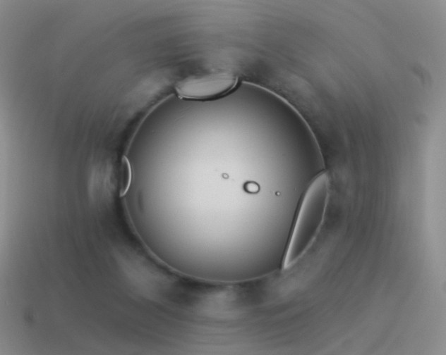 X0000114510116200910191141