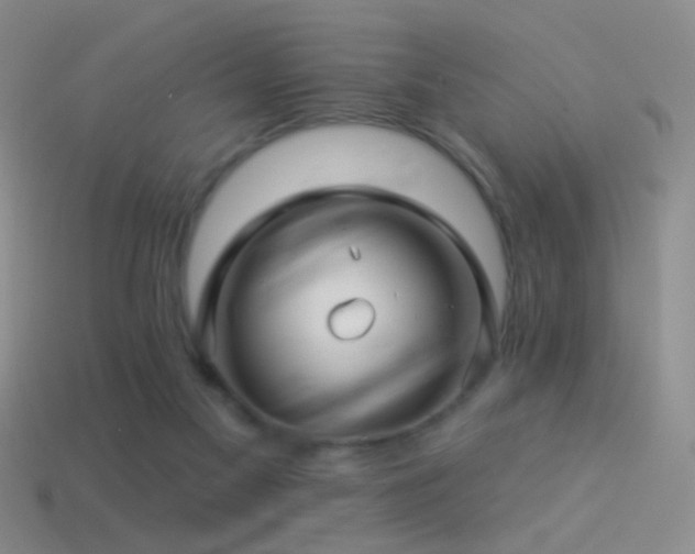 X0000114510117200910191141