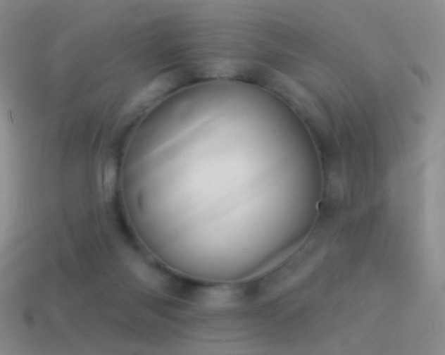 X0000114510118200910191141