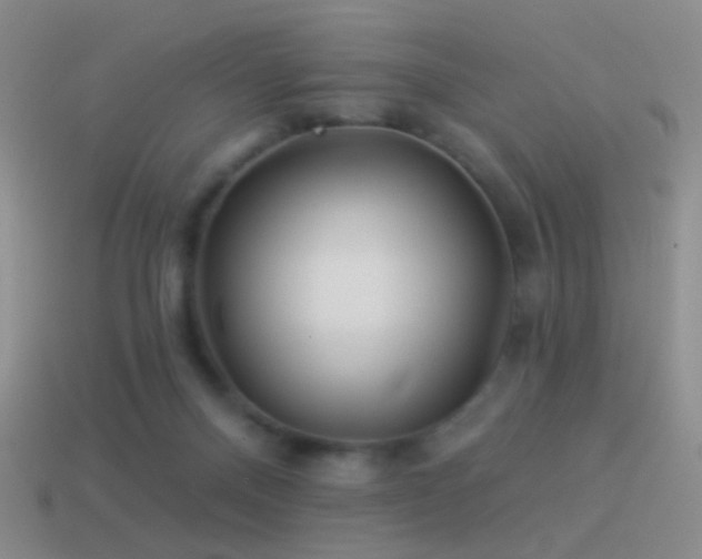 X0000114510120200910191141