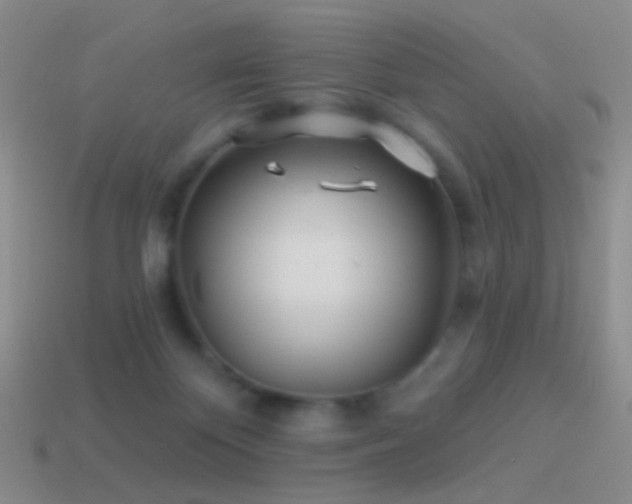 X0000114510124200910191141