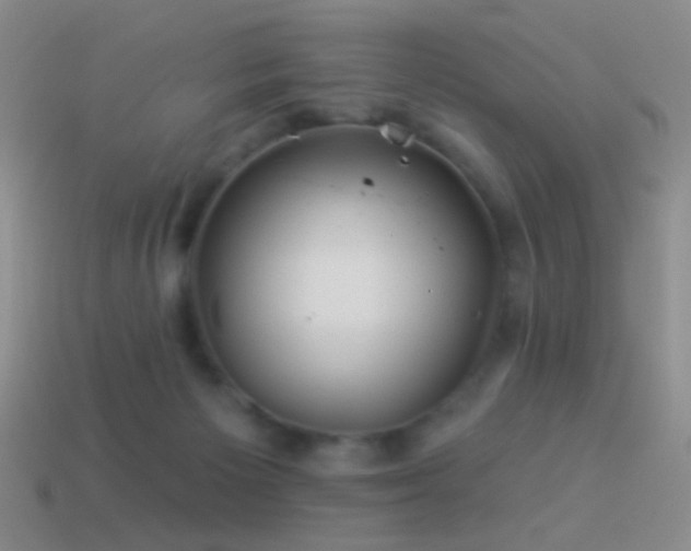 X0000114510125200910191141