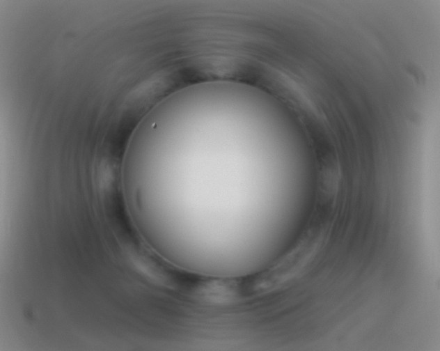 X0000114510126200910191141