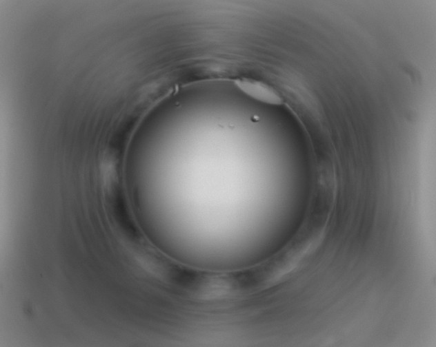 X0000114510127200910191141