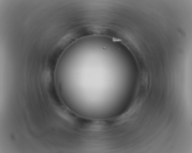 X0000114510128200910191141