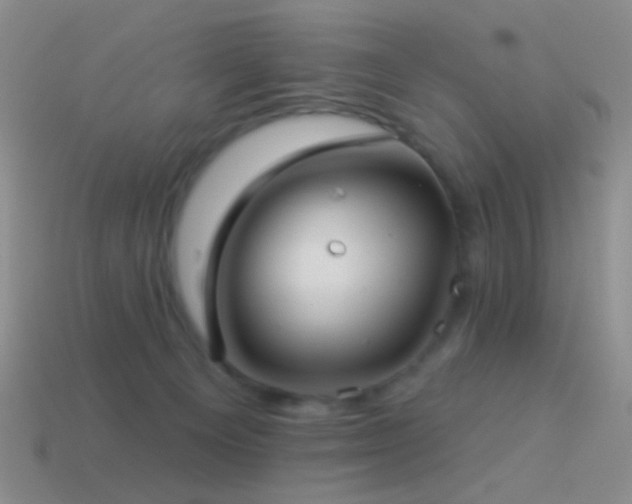 X0000114510129200910191141