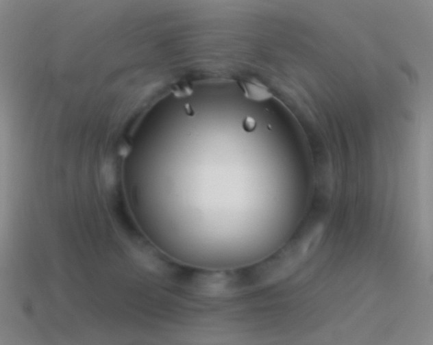 X0000114510131200910191141