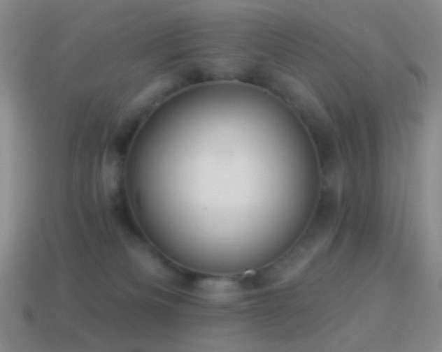 X0000114510133200910191141