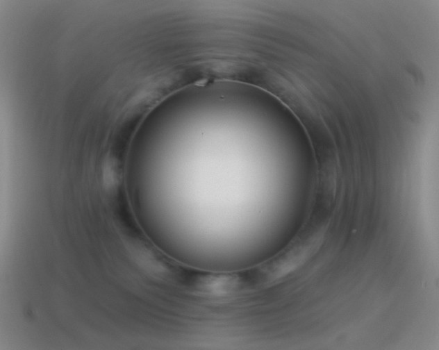 X0000114510135200910191141