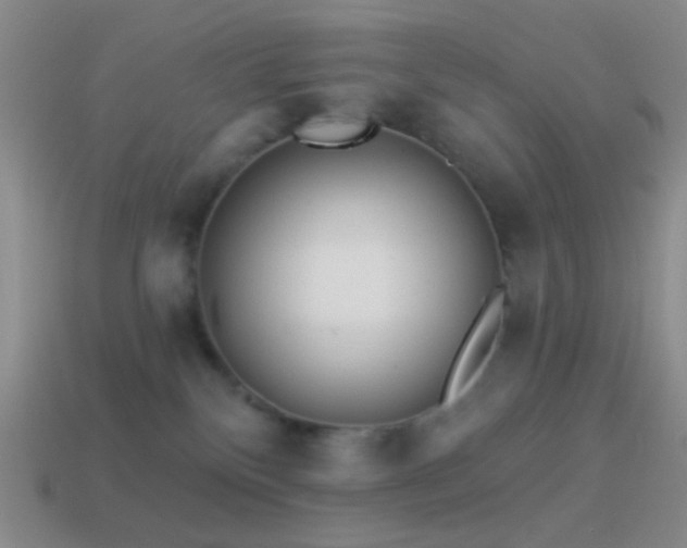 X0000114510136200910191141