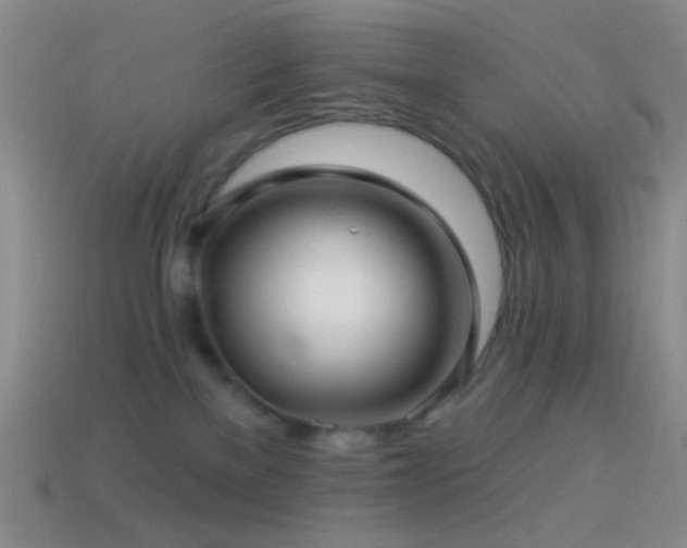 X0000114510137200910191141