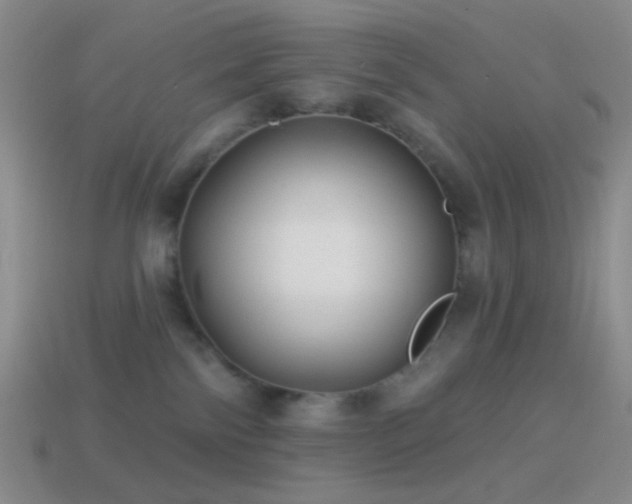 X0000114510138200910191141