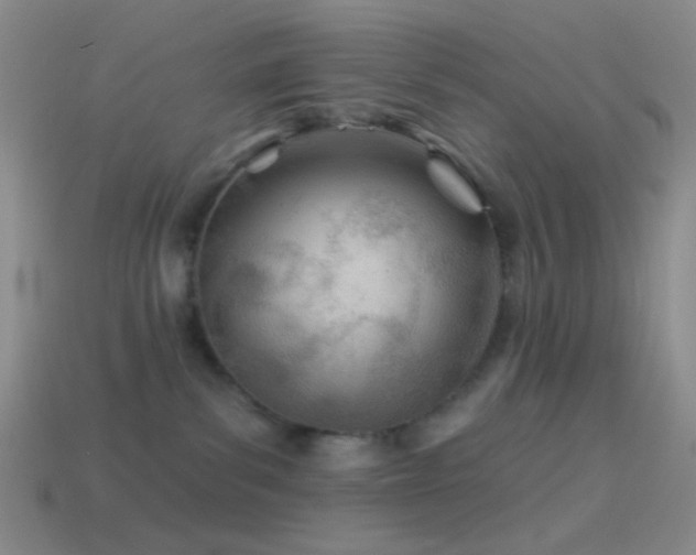 X0000114510139200910191141