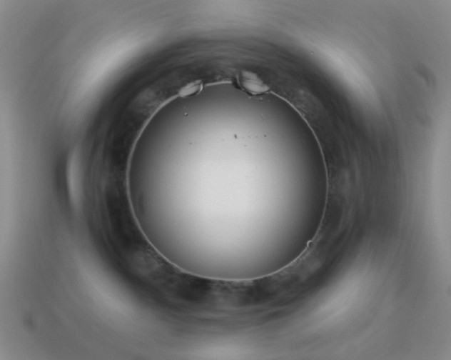 X0000114510140200910191141