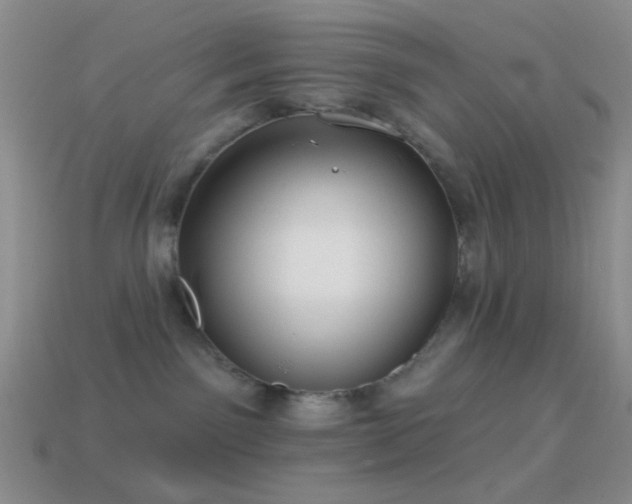 X0000114510141200910191141