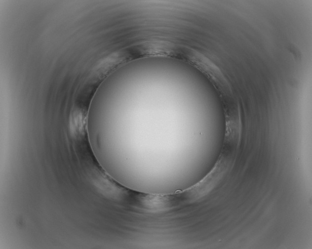 X0000114510142200910191141