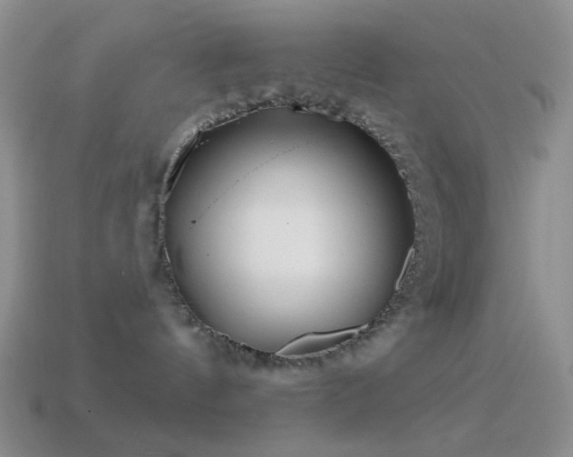 X0000114510144200910191141