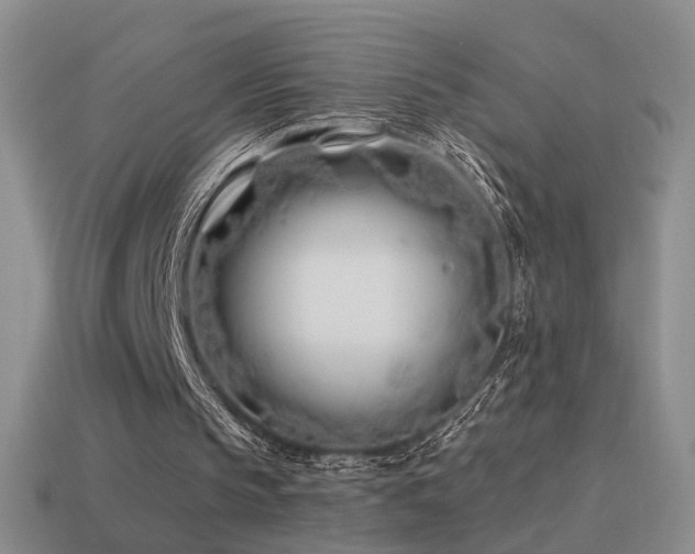 X0000114510145200910191140