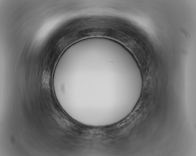 X0000114510146200910191140