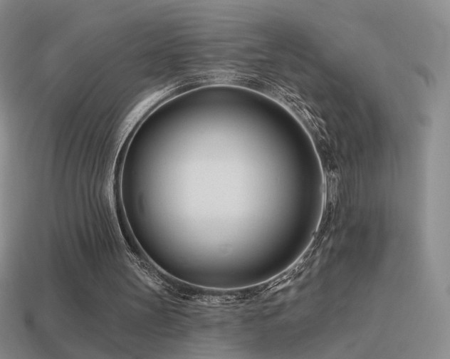 X0000114510147200910191140