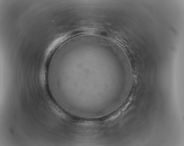 X0000114510149200910191140