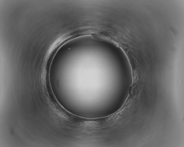 X0000114510150200910191140