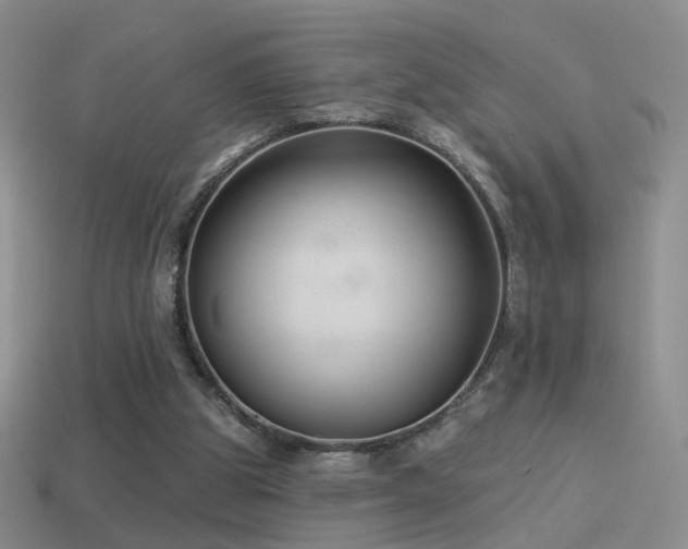 X0000114510153200910191141