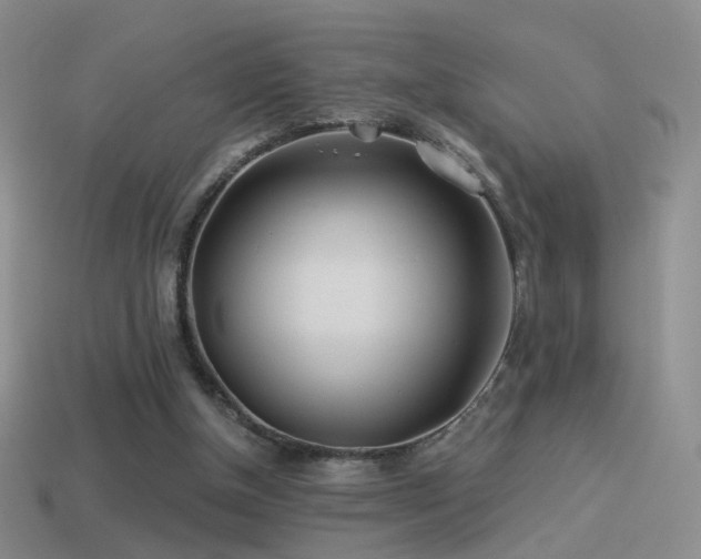 X0000114510154200910191141