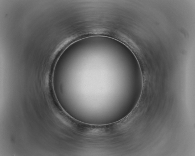 X0000114510155200910191141