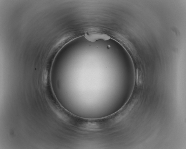 X0000114510157200910191141