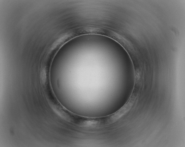 X0000114510158200910191141