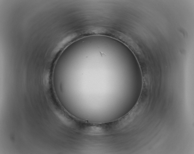 X0000114510159200910191141