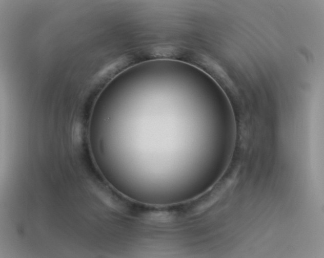 X0000114510161200910191141