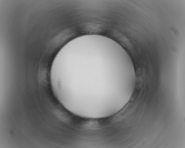 X0000114510162200910191141