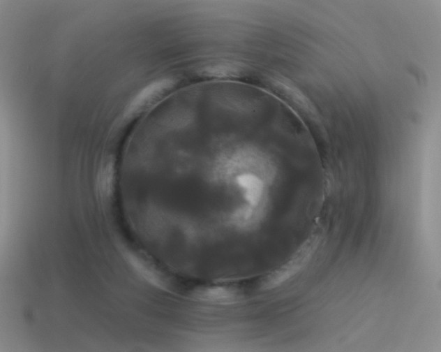 X0000114510163200910191141