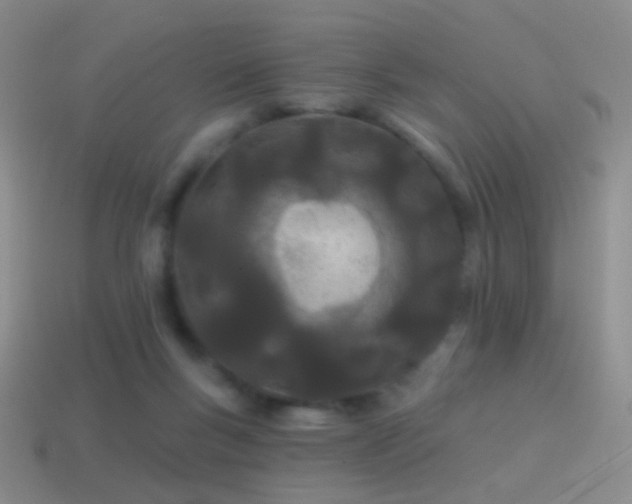 X0000114510167200910191141