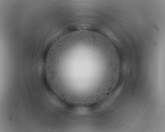 X0000114510169200910191141