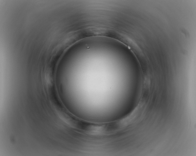 X0000114510170200910191141