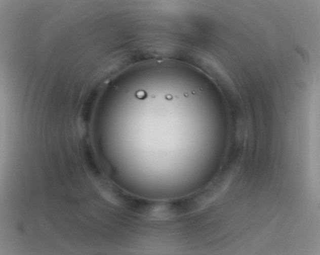 X0000114510173200910191141