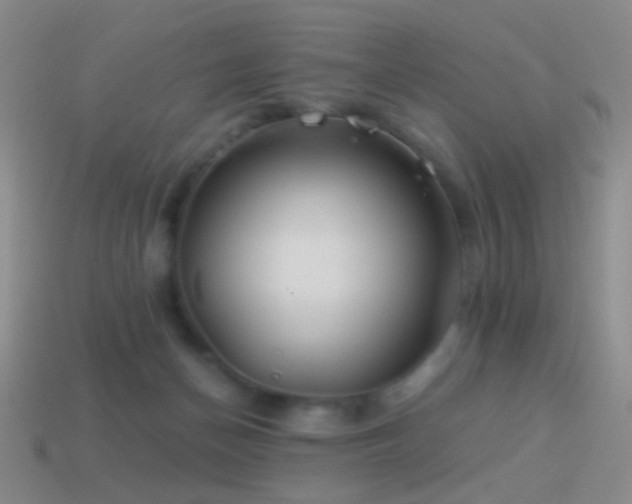 X0000114510174200910191141